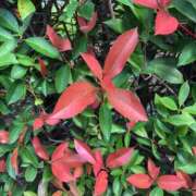 ヒメ日記 2025/09/30 11:34 投稿 ふみか 池袋おかあさん