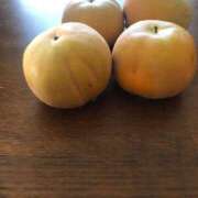 ヒメ日記 2025/11/02 11:42 投稿 ふみか 池袋おかあさん