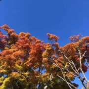 ヒメ日記 2025/11/04 10:34 投稿 ふみか 池袋おかあさん