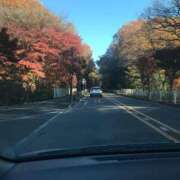 ヒメ日記 2025/11/12 13:34 投稿 ふみか 池袋おかあさん