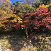 ヒメ日記 2025/11/21 13:54 投稿 ふみか 池袋おかあさん