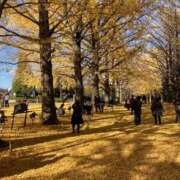 ヒメ日記 2025/11/27 23:34 投稿 ふみか 池袋おかあさん