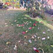 ヒメ日記 2025/11/28 10:54 投稿 ふみか 池袋おかあさん