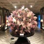 ヒメ日記 2025/12/17 13:54 投稿 ふみか 池袋おかあさん