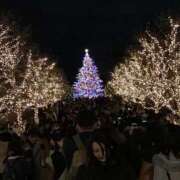 ヒメ日記 2025/12/25 21:44 投稿 ふみか 池袋おかあさん