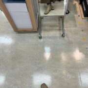 ヒメ日記 2026/02/15 11:00 投稿 ふみか 池袋おかあさん