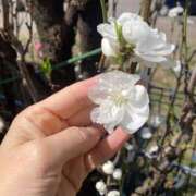 ヒメ日記 2026/03/24 14:04 投稿 ふみか 池袋おかあさん
