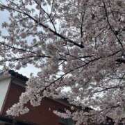 ヒメ日記 2026/03/31 10:34 投稿 ふみか 池袋おかあさん