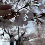 ヒメ日記 2026/04/04 00:14 投稿 ふみか 池袋おかあさん