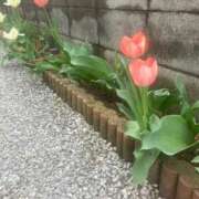 ヒメ日記 2026/05/01 23:04 投稿 ふみか 池袋おかあさん