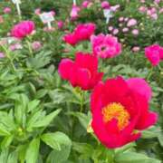 ヒメ日記 2026/05/03 23:54 投稿 ふみか 池袋おかあさん