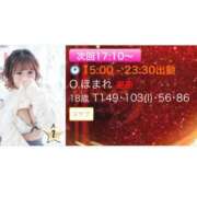 ヒメ日記 2024/05/11 09:52 投稿 O.ほまれ amuse-アミューズ-