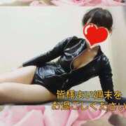 ヒメ日記 2025/04/19 09:21 投稿 なつ 西川口おかあさん