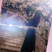 ヒメ日記 2025/04/09 12:29 投稿 みりあ 痴女@女王様