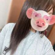 ヒメ日記 2025/06/14 09:14 投稿 すみれ 浜松人妻なでしこ(カサブランカグループ)