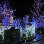 ヒメ日記 2024/12/20 18:03 投稿 るみ♡超濃厚サービス ラヴァーズ