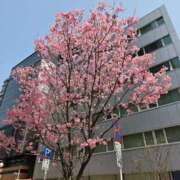 ヒメ日記 2025/03/28 16:33 投稿 るみ♡超濃厚サービス ラヴァーズ