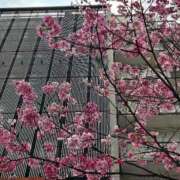 ヒメ日記 2025/04/04 17:47 投稿 るみ♡超濃厚サービス ラヴァーズ