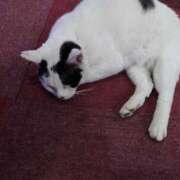 ヒメ日記 2025/11/09 21:09 投稿 るみ♡超濃厚サービス ラヴァーズ