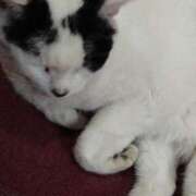 ヒメ日記 2025/11/22 20:34 投稿 るみ♡超濃厚サービス ラヴァーズ