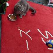 ヒメ日記 2026/08/08 17:45 投稿 るみ♡超濃厚サービス ラヴァーズ