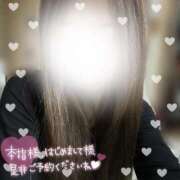 ヒメ日記 2025/02/17 17:52 投稿 りお 柏人妻花壇