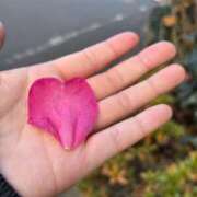 ヒメ日記 2024/12/08 12:32 投稿 りの アラビアンナイト