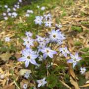 ヒメ日記 2025/04/08 21:44 投稿 りの アラビアンナイト