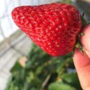 ヒメ日記 2025/04/11 20:03 投稿 りの アラビアンナイト