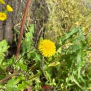 ヒメ日記 2025/04/24 17:16 投稿 りの アラビアンナイト