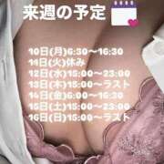 ヒメ日記 2025/11/06 20:02 投稿 りの アラビアンナイト