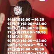 ヒメ日記 2025/11/14 13:45 投稿 りの アラビアンナイト
