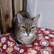 ヒメ日記 2024/12/20 18:00 投稿 とわ ニューヨークニューヨーク