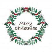 ヒメ日記 2024/12/24 15:00 投稿 とわ ニューヨークニューヨーク