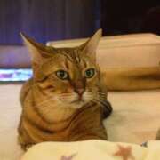 ヒメ日記 2025/03/08 19:00 投稿 とわ ニューヨークニューヨーク