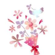 ヒメ日記 2025/05/27 23:00 投稿 とわ ニューヨークニューヨーク