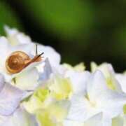 ヒメ日記 2025/06/02 09:00 投稿 とわ ニューヨークニューヨーク