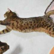 ヒメ日記 2025/07/12 19:00 投稿 とわ ニューヨークニューヨーク