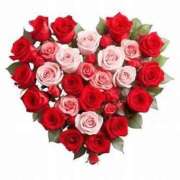 ヒメ日記 2025/07/24 23:00 投稿 とわ ニューヨークニューヨーク