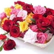 ヒメ日記 2025/07/28 23:00 投稿 とわ ニューヨークニューヨーク