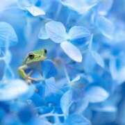 ヒメ日記 2025/08/07 19:00 投稿 とわ ニューヨークニューヨーク