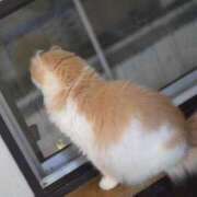 ヒメ日記 2025/08/13 19:00 投稿 とわ ニューヨークニューヨーク