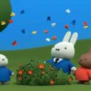 ヒメ日記 2025/09/16 14:00 投稿 とわ ニューヨークニューヨーク