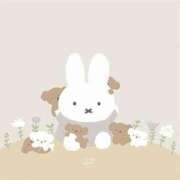 ヒメ日記 2025/11/05 14:00 投稿 とわ ニューヨークニューヨーク