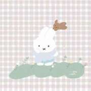 ヒメ日記 2025/11/11 14:00 投稿 とわ ニューヨークニューヨーク