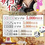 ヒメ日記 2026/03/23 15:00 投稿 とわ ニューヨークニューヨーク