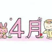 ヒメ日記 2026/04/08 15:00 投稿 とわ ニューヨークニューヨーク