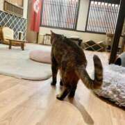 ヒメ日記 2026/05/18 19:00 投稿 とわ ニューヨークニューヨーク
