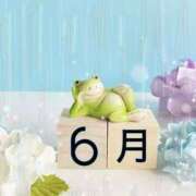 ヒメ日記 2026/06/01 14:00 投稿 とわ ニューヨークニューヨーク