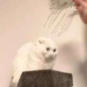 ヒメ日記 2025/09/02 14:45 投稿 りりむ ラブリップ所沢